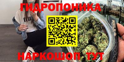 ешки Абинск