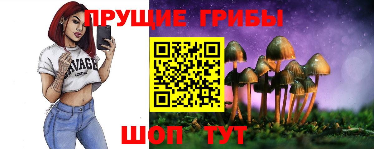 Альметьевск  Галлюциногенные грибы ЛСД  Вход с VPN 
